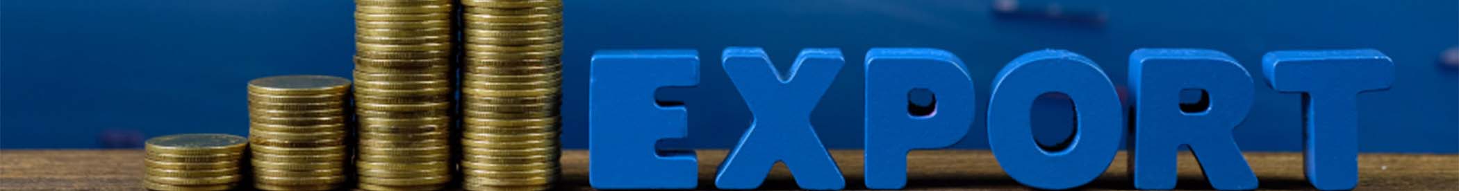 The Hidden Question: Is the Export Market Actually Profitable? 
